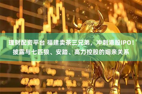 理财配资平台 福建卖茶三兄弟，冲刺港股IPO！披露与七匹狼、安踏、高力控股的姻亲关系