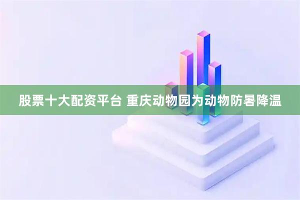 股票十大配资平台 重庆动物园为动物防暑降温